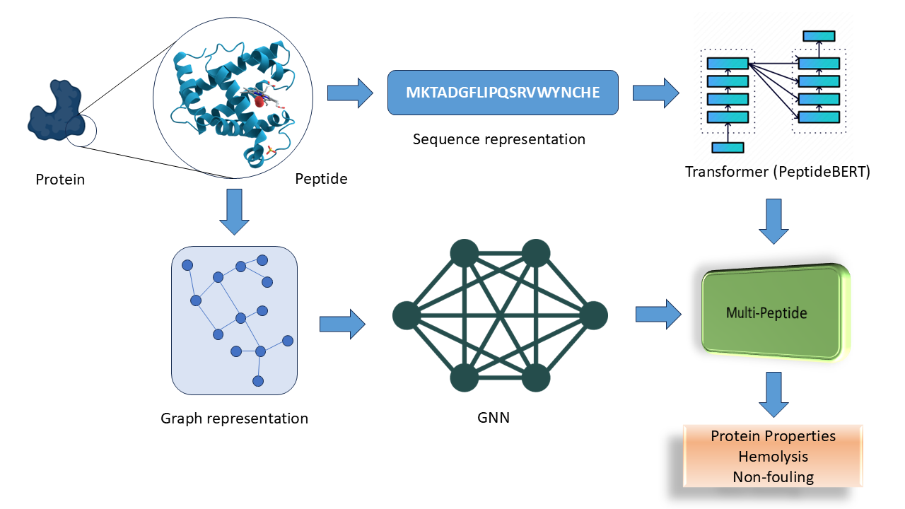 Multi-Peptide model